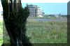 natuur dicht bij.jpg (43258 bytes)