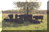 personeel.jpg (56954 bytes)